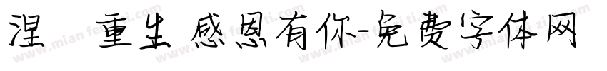 涅槃重生 感恩有你字体转换